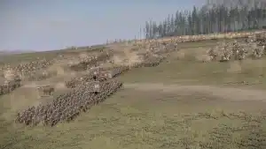 Total War Three Kingdoms game